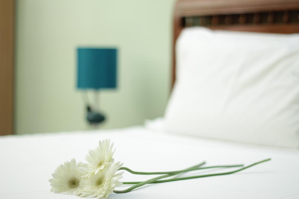 Maxi Stay - Royapettah Bed & Breakfast